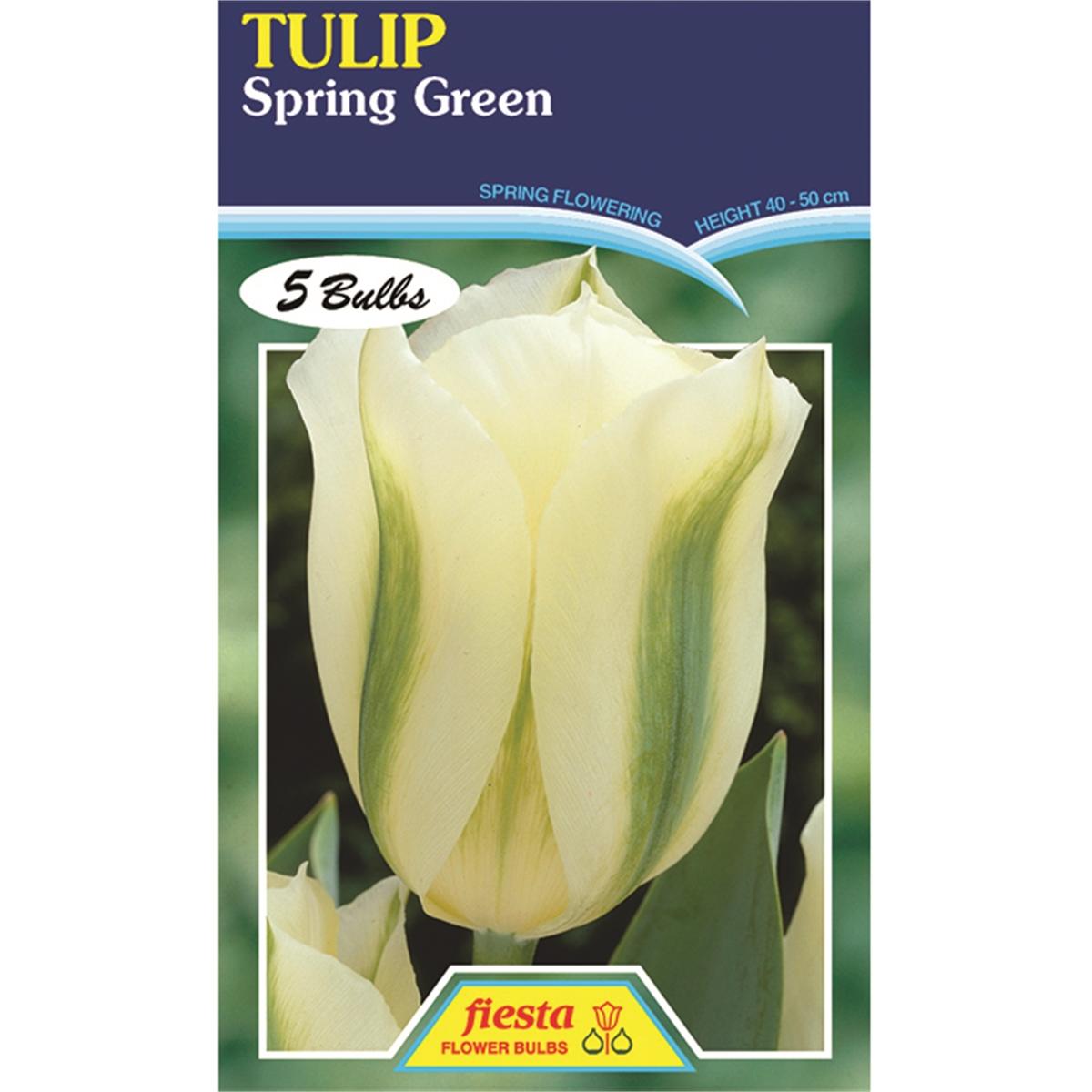 Tulip Spring Green - 5 Bulbs - Bunnings New Zealand