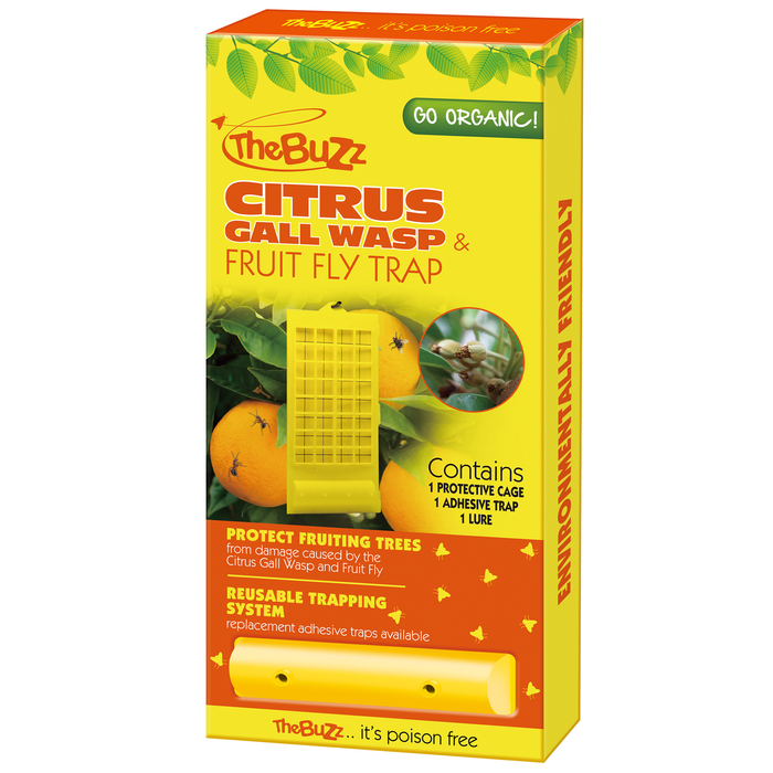 The Buzz Citrus Gall Wasp And Fruit Fly Trap