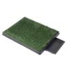 Pawz Indoor Grass Potty With 2 Pcs Large Size Grass