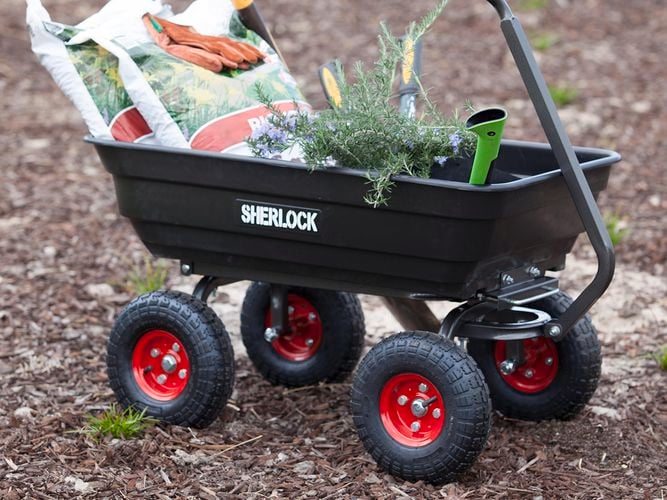 Cart loaded with greenlife and tools
