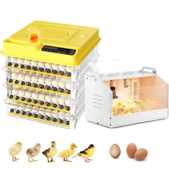 Advwin 288 Egg Incubator + Chicken Brooder Box