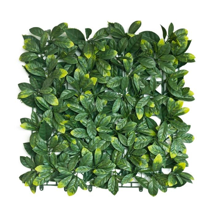 UN-REAL 50 x 50cm Green Photinia Artificial Hedge Tile