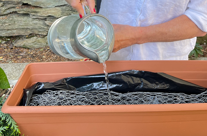 Pouring water in planter box