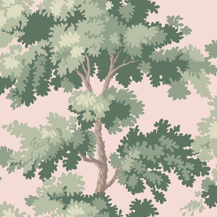 Wallpaper Trader Raphael Wallpaper Roll 10.05m X 53cm, Green On Pink