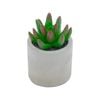 UN-REAL 13cm Green Succulent Artificial Plant