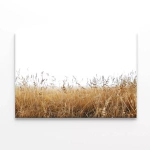 Tall Grass under a Sky in winter  Print 100% Australian Made 150 x 100cm  (Stretched)