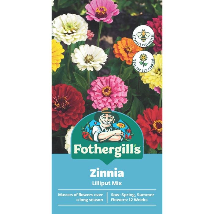 Fothergill's Zinnia Lilliput Mixed Seeds