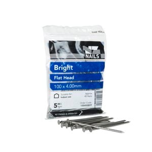 NZ Nails 100 x 4mm 500g Bright Steel Flat Head Nail