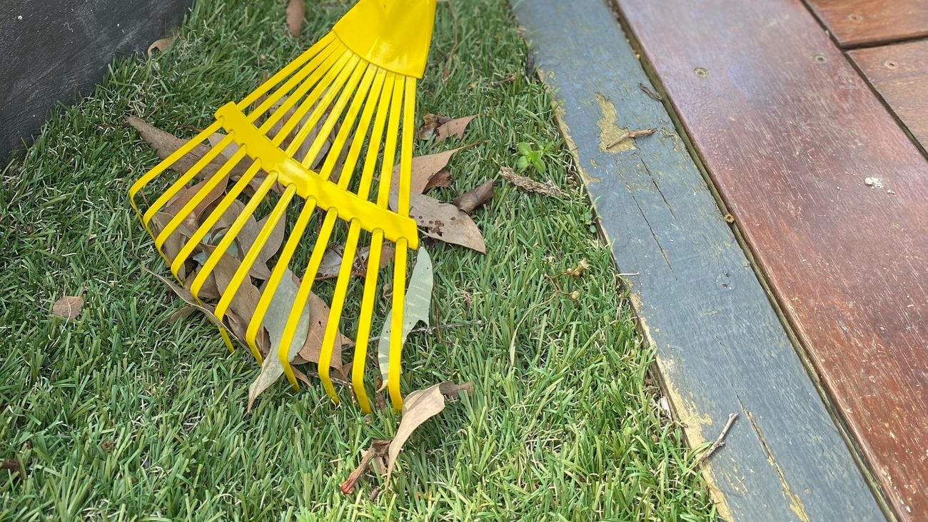 A kid using a yellow rake on the lawn.