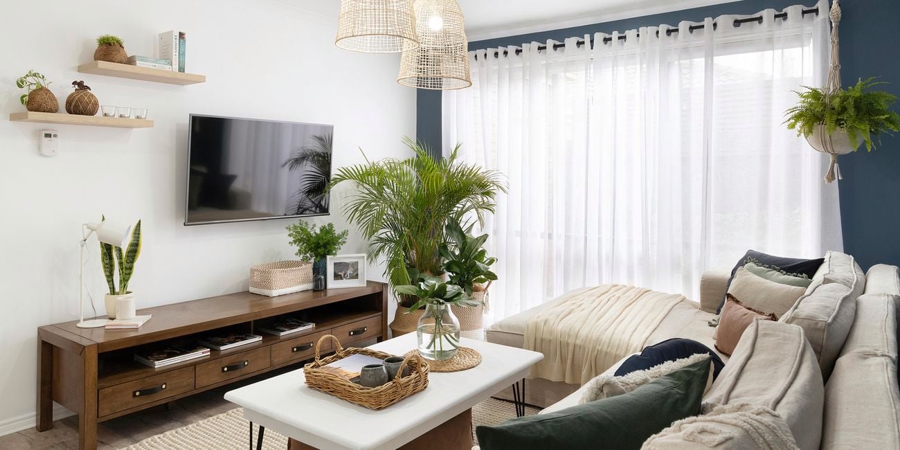 Living room with blue walls, white couch and coffee table, and indoor plants.