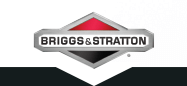 Briggs & Stratton