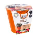 Mr Fothergill's Boutique Gardens Chilli Grow Kit