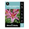 Bloomin Bulbs Lilium Oriental Donacion - 2 Pack