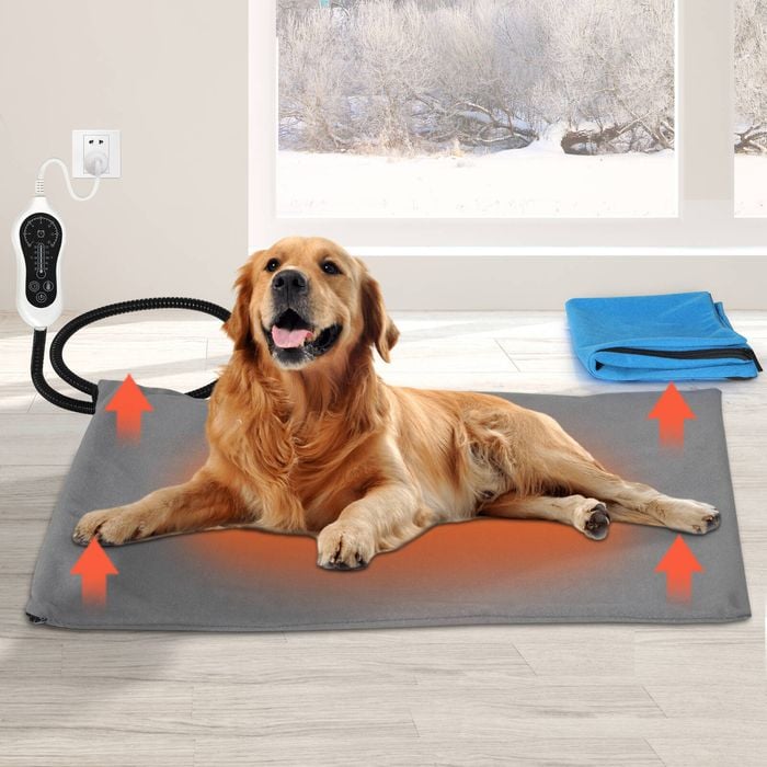Pawz Electric Dog Bed Heated Pet Pad Medium Bunnings Australia
