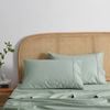 Dreamaker 1500tc Cotton Rich Standard Pillowcase Twin Pack - Sage