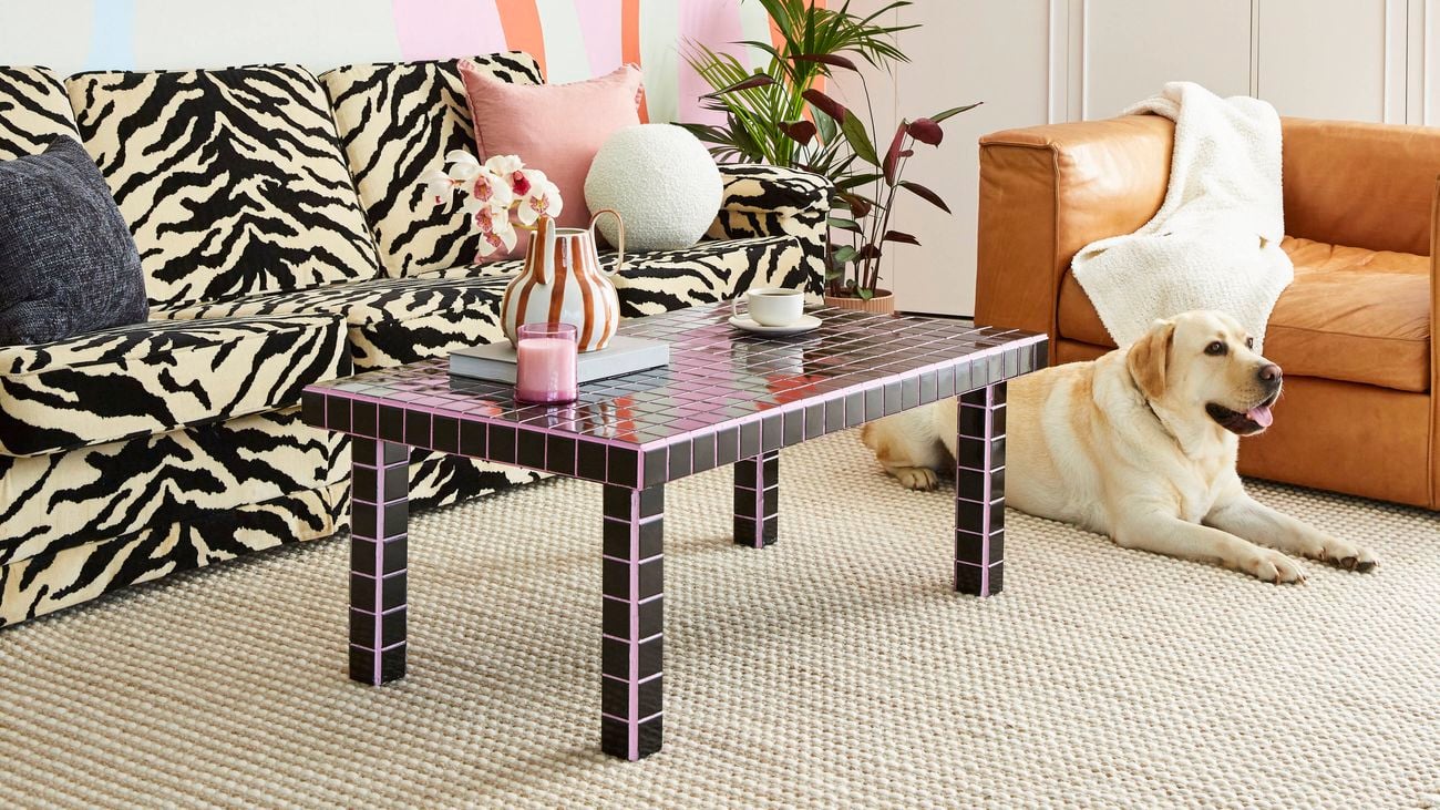 Lounge room with carpet, a dog, mosaic coffee table and 2 couches in it.