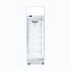 Upright Display Freezer - 444L - 1 Door - Flat Glass - Lightbox