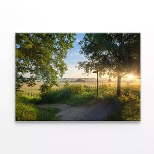 Footpath in Sunrise with Trees  Print 100% Australian Made 150 x 100cm  (Stretched)