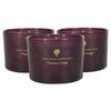 3x Soy Wax Scented Candles - 350g - Cinnamon & Orange - Double Wick Jarred Warm Spiced Scent Long Burn Fragrance