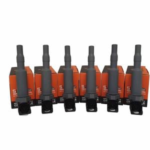 6-Pack SWAN Ignition Coil for BMW 130i, 323i, 325i, 330i, 525i, 530i & 730i