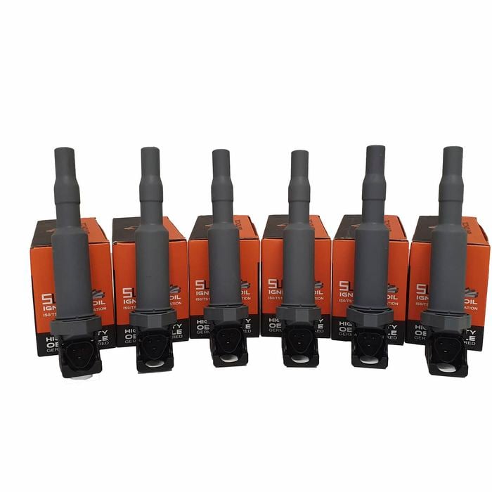 6-Pack SWAN Ignition Coil for BMW 130i, 323i, 325i, 330i, 525i, 530i & 730i