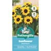 Fothergill's Sunflower Dwarf EOS Seeds