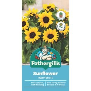Fothergill's Sunflower Dwarf EOS Seeds