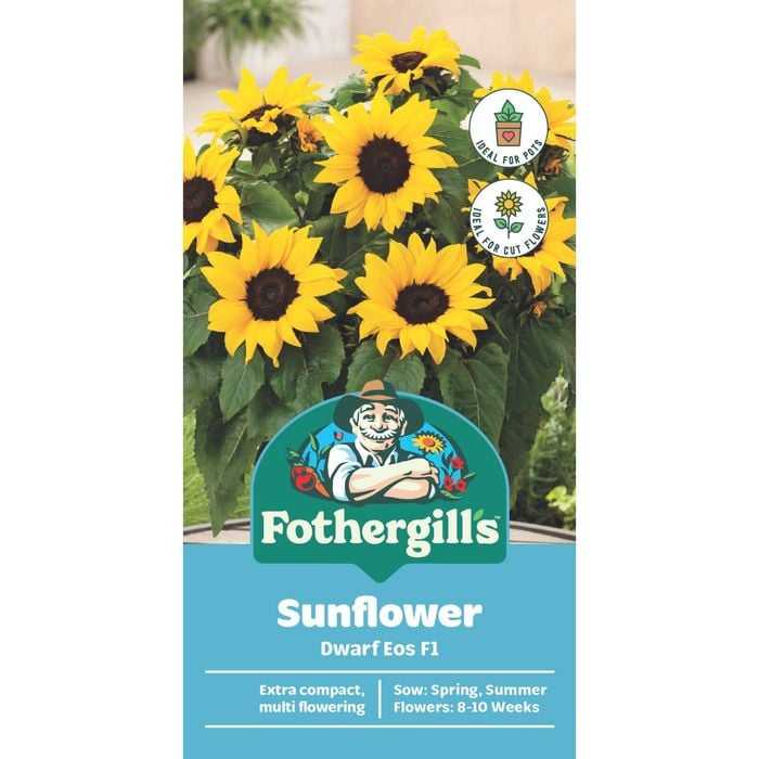 Fothergill's Sunflower Dwarf EOS Seeds