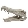 Urs Ornament Crocodile Skull Reptile Enclosure Accessory XL