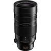 Panasonic Leica DG Vario-Elmar