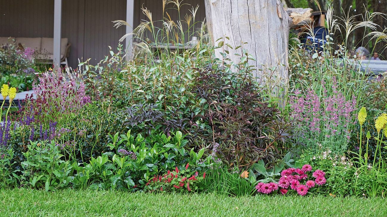 A lushly planted  garden bed filled with foliage and flowers such as feather grass, salvia and Greater Burnet at the base of silvery tree trunk at Melbourne International Flower and Garden Show
