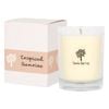 Nicola Spring 160g Soy Wax Scented Candle - Tropical Sunrise - 28 Hour Burn Time Relaxation Aromatherapy Gift Ready Jar Candle