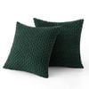 Catzon 2 Pcs Throw Pillow Covers Soft Striped Corduroy Cushion Case for Couch 45X45cm-Dark Green