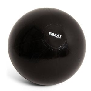 SMAI Commercial 65cm Gym Ball - Purple