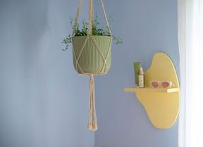 An image of a lush green hanging plant.