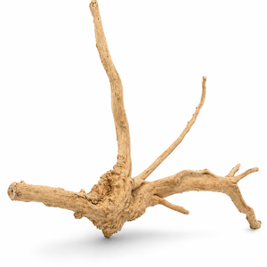 Spider Wood Driftwood Small 15–20 Cm – Aquarium & Reptile Decoration