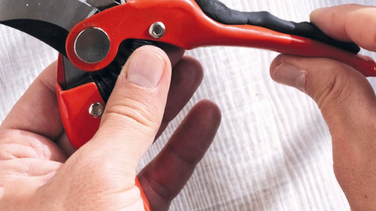 Close up of red secateurs