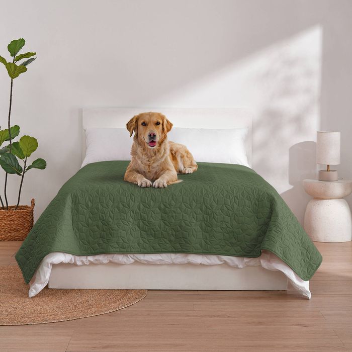 Charlie's Sofur Waterproof Dog Bed Cover Protector Double/Queen 208x208cm Olive