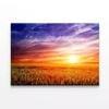 Green Field with Sky  Print 100% Australian Made 90 x 60cm  (Stretched)