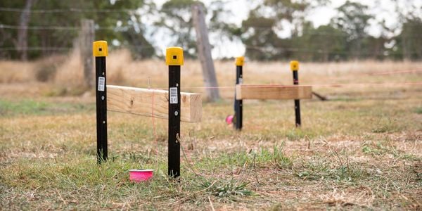 Deck set out using hurdles, string and timber.