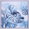 P&P Nautiluc Shell Hand Painting Picture - Elegant Modern Wall Art for Living Room, Bedroom & Office Decor 70x70cm