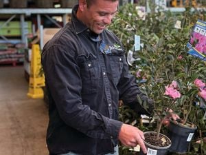 A tradesperson in a work shirt holds a plant with a pink flower in the garden section at Bunnings.]