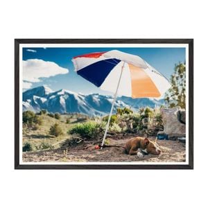 Galrie Mammoth Lakes Hot Dog Art Photography Print, Black Frame, A1 60 x 84cm (23 x 33inch)