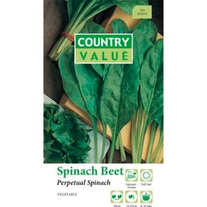 Country Value Perpetual Spinach Beet Seed