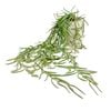 UN-REAL 55cm Green Hoya Linearis Artificial Plant