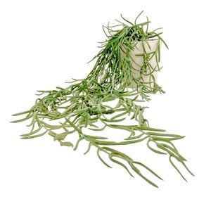 UN-REAL 55cm Green Hoya Linearis Artificial Plant