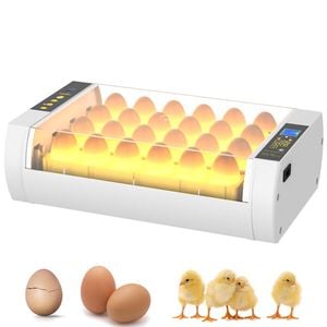 Advwin 24 Eggs Incubator for Hatching Eggs  Automatic Egg Turner