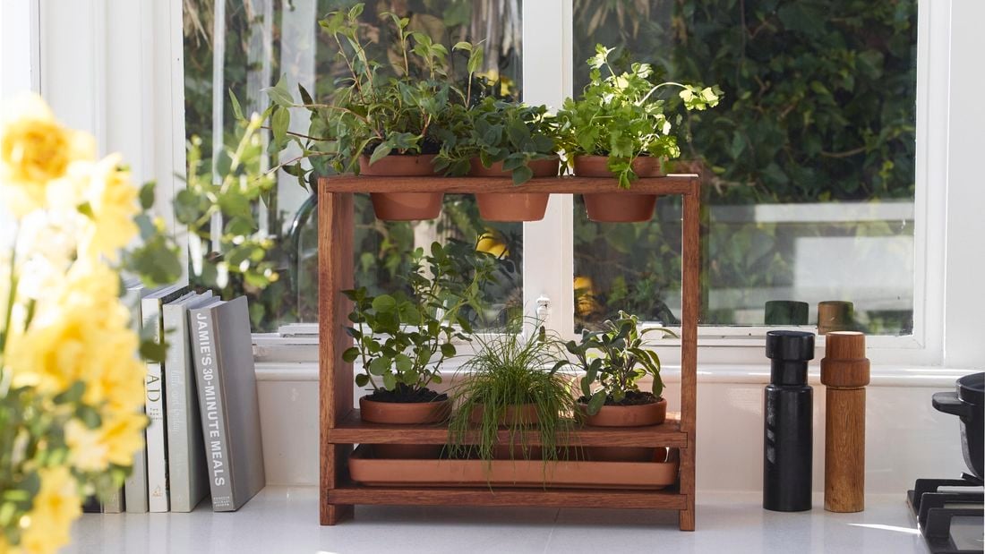 Wooden herb garden stand with 6 pots of herbs being held