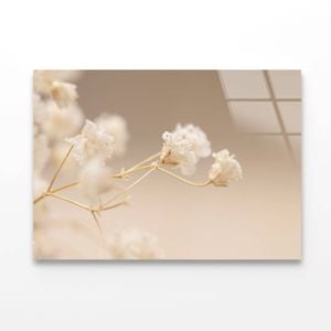 Gypsophila White Flowers  Print 100% Australian Made 120 x 90cm  (Acrylic)