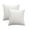 Catzon 2 Pcs Square Throw Pillow Covers Solid Soft Velvet for Spring Sofa-White